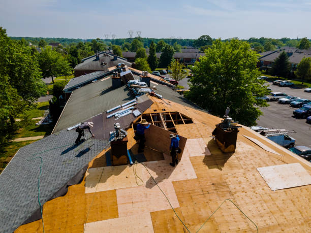 Best Metal Roofing Contractor  in Springfield, NE