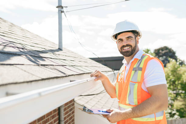 Best Flat Roof Repair Services  in Springfield, NE
