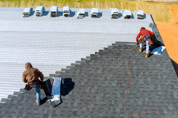 Best Storm Damage Roof Repair  in Springfield, NE