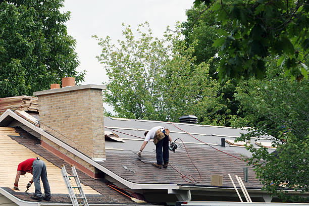 Best Roof Leak Repair  in Springfield, NE
