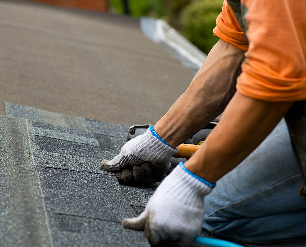 Best New Roof Installation  in Springfield, NE