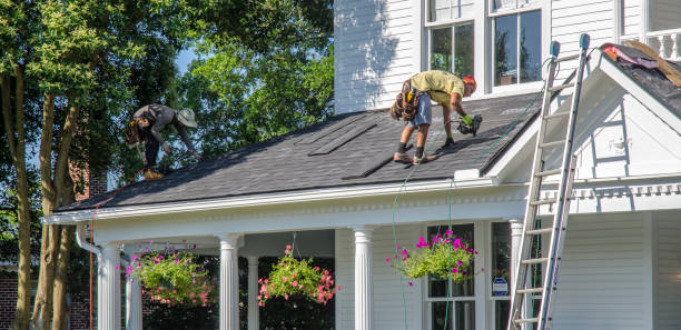 Best Local Roofing Companies  in Springfield, NE