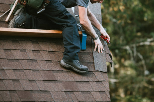 Best Residential Roofing Contractor  in Springfield, NE