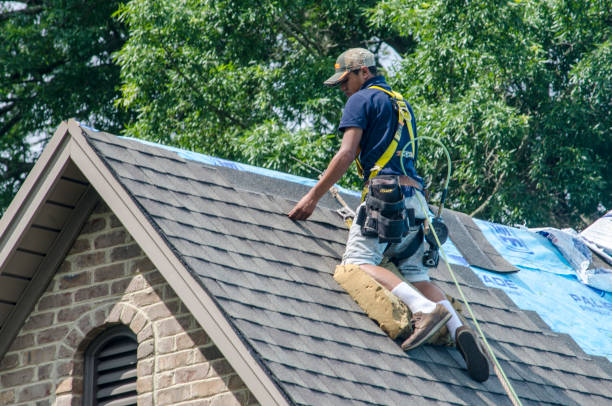 Roof Repair Estimates in Springfield, NE