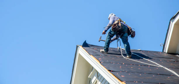 Best Residential Roofing Contractor  in Springfield, NE